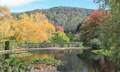 Tieve Tara: The Sparkling Jewel in Mount Macedon’s Crown